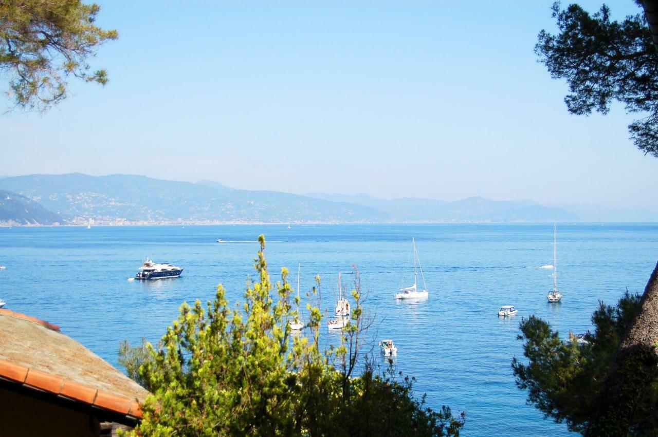 Portofino Seaview Apartment, 50 Meters From The Beach, Free Parking, Air Conditioning Paraggi Exteriör bild