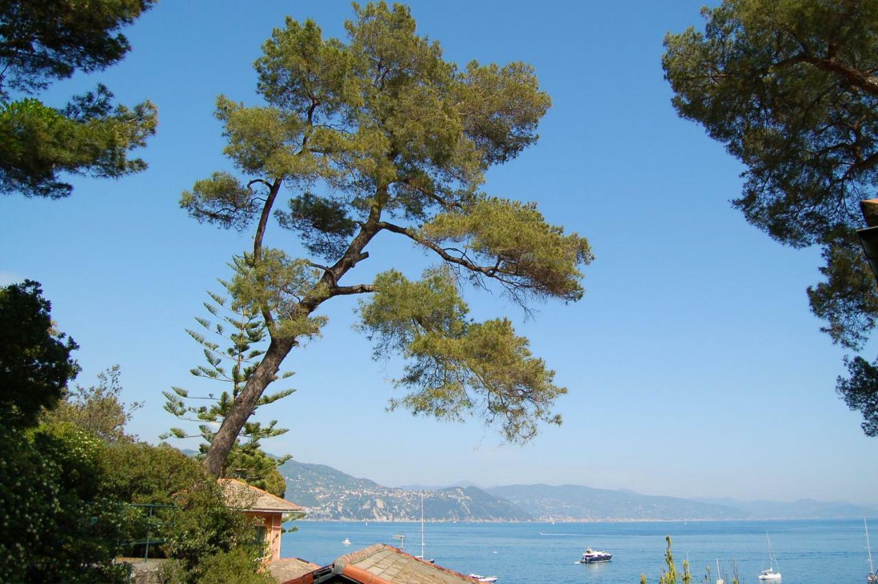 Portofino Seaview Apartment, 50 Meters From The Beach, Free Parking, Air Conditioning Paraggi Exteriör bild